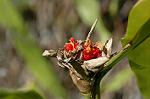 Dcim5609/DSC_3539