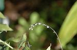Dcim5609/DSC_3548