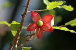 Dcim5609/DSC_3578