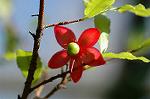 Dcim5609/DSC_3583