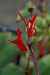Dcim5609/DSC_3615