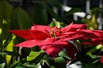 Dcim5610/DSC_7608