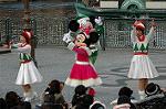 Dcim5611/DSC_3651