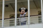Dcim5612/DSC_3760
