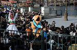 Dcim5617/DSC_7666