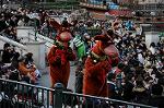 Dcim5617/DSC_7686