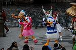 Dcim5617/DSC_7739