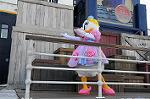 Dcim5621/DSC_8188