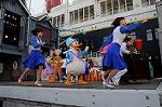 Dcim5621/DSC_8231