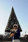 Dcim5622/DSC_8320