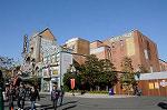 Dcim5622/DSC_8324
