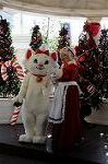 Dcim5622/DSC_8335