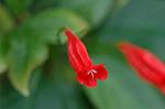 Dcim5632/DSC_4543