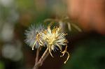Dcim5632/DSC_4555