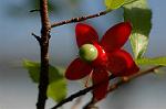Dcim5632/DSC_4557