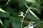 Dcim5632/DSC_4584