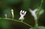 Dcim5632/DSC_4586