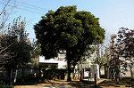 Dcim5633/DSC_9321