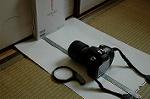 Dcim5641/DSC_5003
