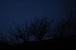 Dcim5641/DSC_5077