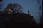 Dcim5641/DSC_5081