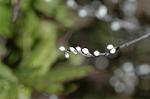 Dcim5643/DSC_5250
