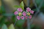 Dcim5643/DSC_5265