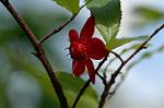 Dcim5643/DSC_5277