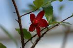 Dcim5643/DSC_5280
