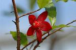 Dcim5643/DSC_5284