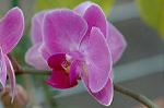 Dcim5643/DSC_5317