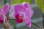 Dcim5643/DSC_5318