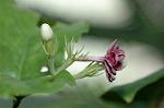 Dcim5643/DSC_5320