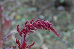 Dcim5643/DSC_5328