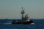 Dcim5646/DSC_5493
