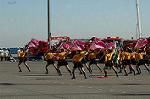 Dcim5646/DSC_5589
