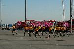 Dcim5646/DSC_5590