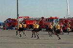 Dcim5647/DSC_5602
