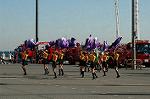 Dcim5647/DSC_5695