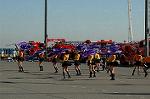 Dcim5647/DSC_5699