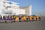 Dcim5653/DSC_0322