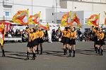 Dcim5653/DSC_0331