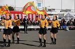 Dcim5653/DSC_0337