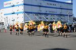 Dcim5653/DSC_0345