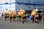 Dcim5653/DSC_0347