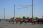 Dcim5655/DSC_0589