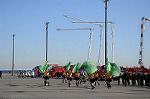 Dcim5655/DSC_0590