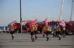 Dcim5656/DSC_0602
