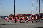 Dcim5656/DSC_0607