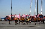 Dcim5656/DSC_0625